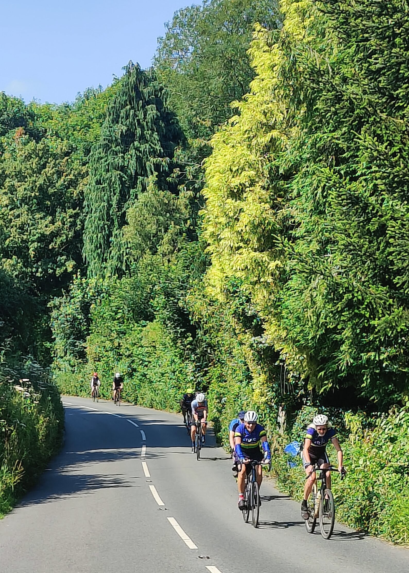 Bristol Thursday Old Time Cyclists News and ride reviews for July 2024